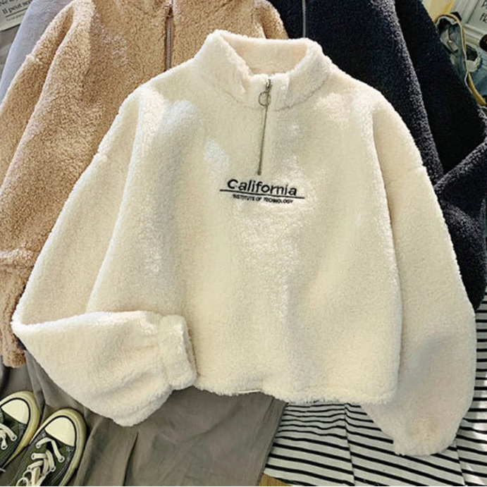 Embroidered Velvet Crop Hoodie with Stand Neck