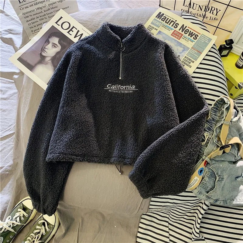 Embroidered Velvet Crop Hoodie with Stand Neck